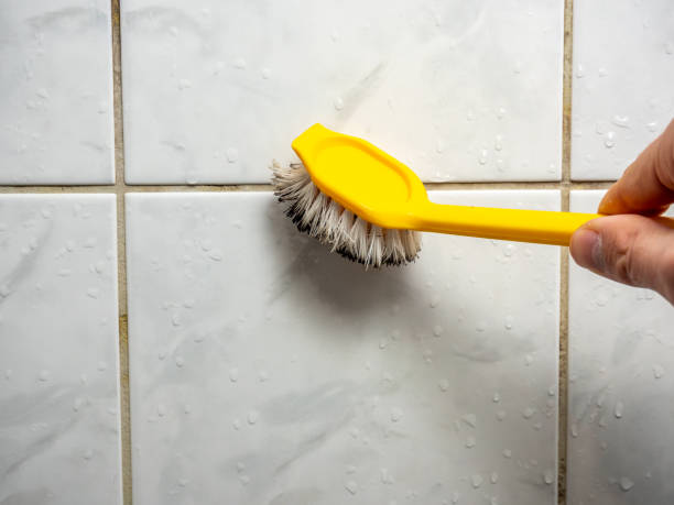 Best Certified Mold Removal  in Laurium, MI