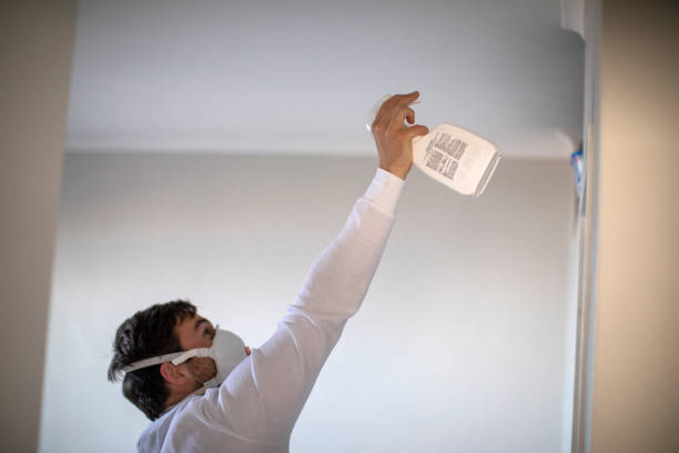 Best Attic Mold Removal  in Laurium, MI