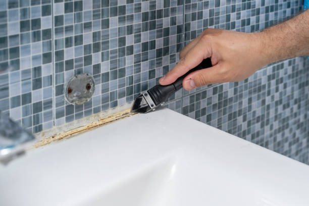 Best Mold Testing  in Laurium, MI