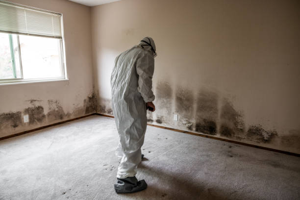 Best Residential Mold Removal  in Laurium, MI